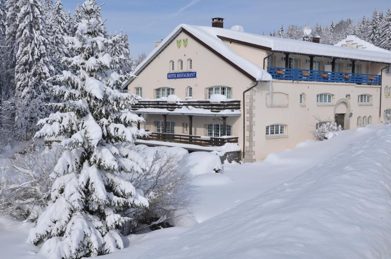 Aux Truites Bleues Hotel Fort-du-Plasne Eksteriør billede