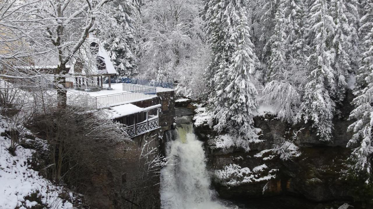 Aux Truites Bleues Hotel Fort-du-Plasne Eksteriør billede